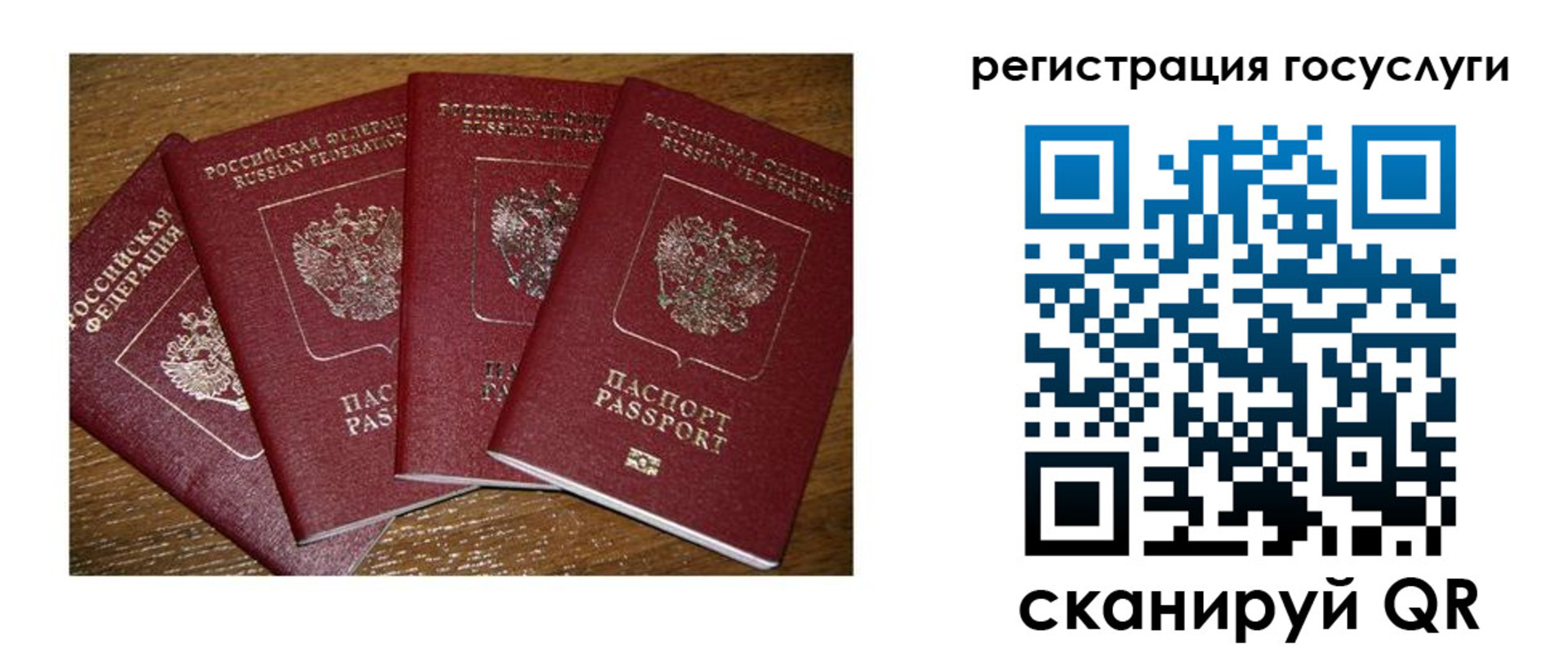 временная регистрация гарантия в Тынде